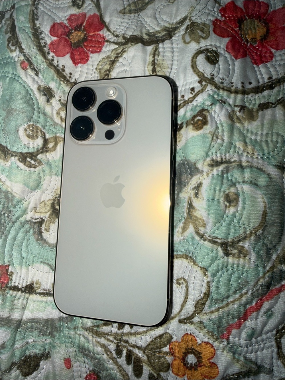 Apple iPhone 14 Pro 256GB- Silver and Unlocked